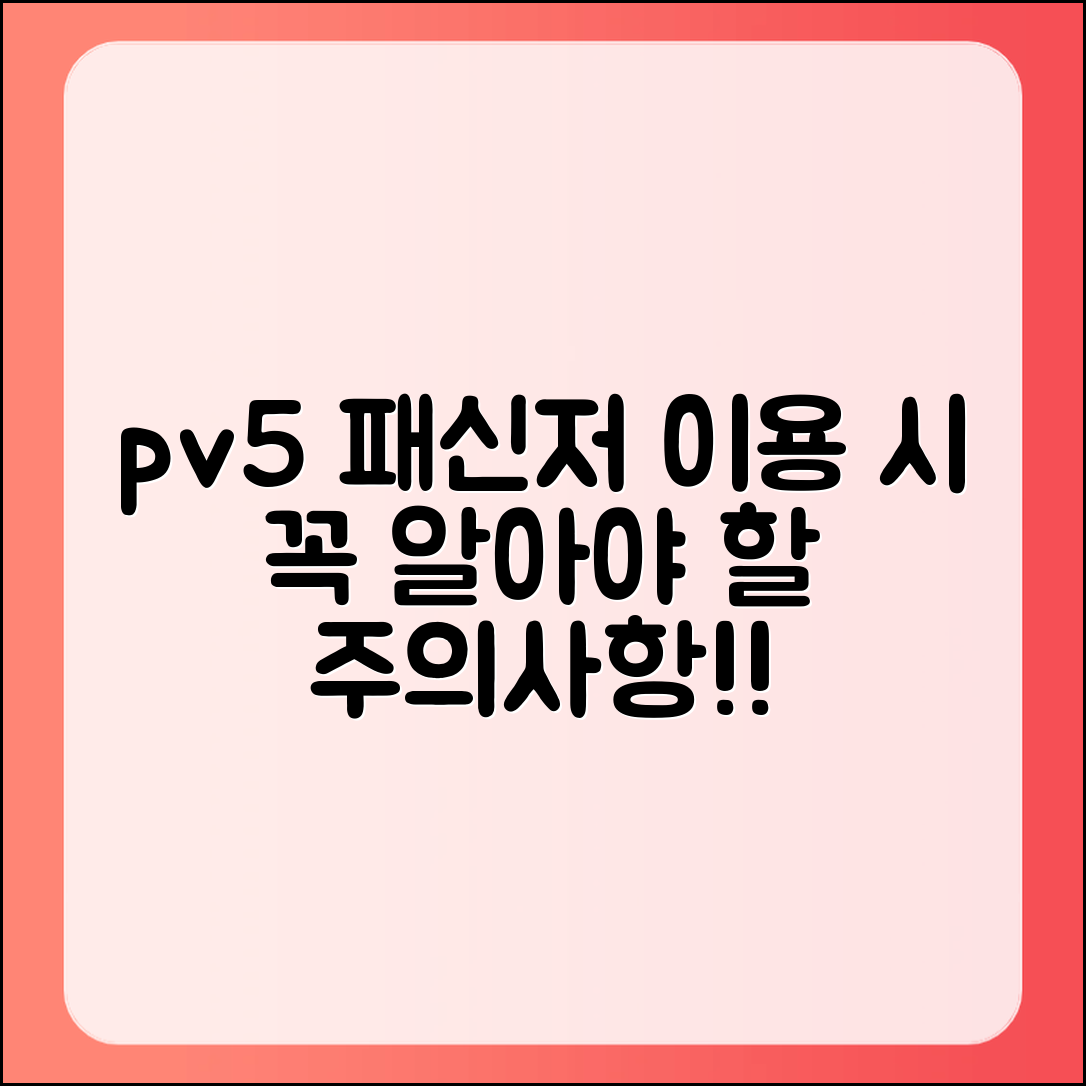 pv5 패신저 이용 시 꼭 알아야 할 주의사항은?