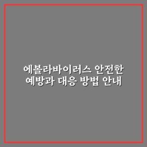 에볼라바이러스 안전한 예방과 대응 방법 안내