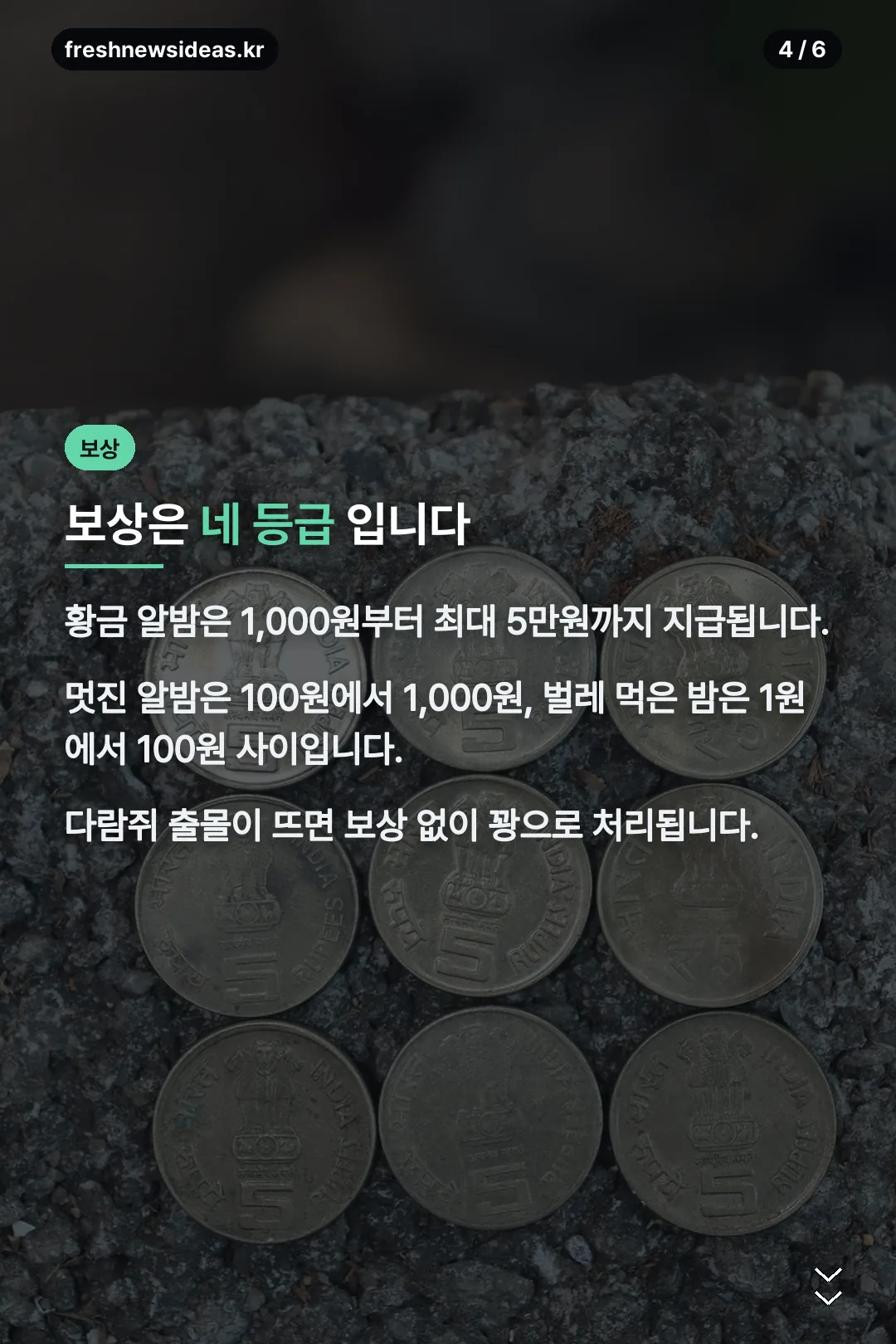 보상 등급 네 가지