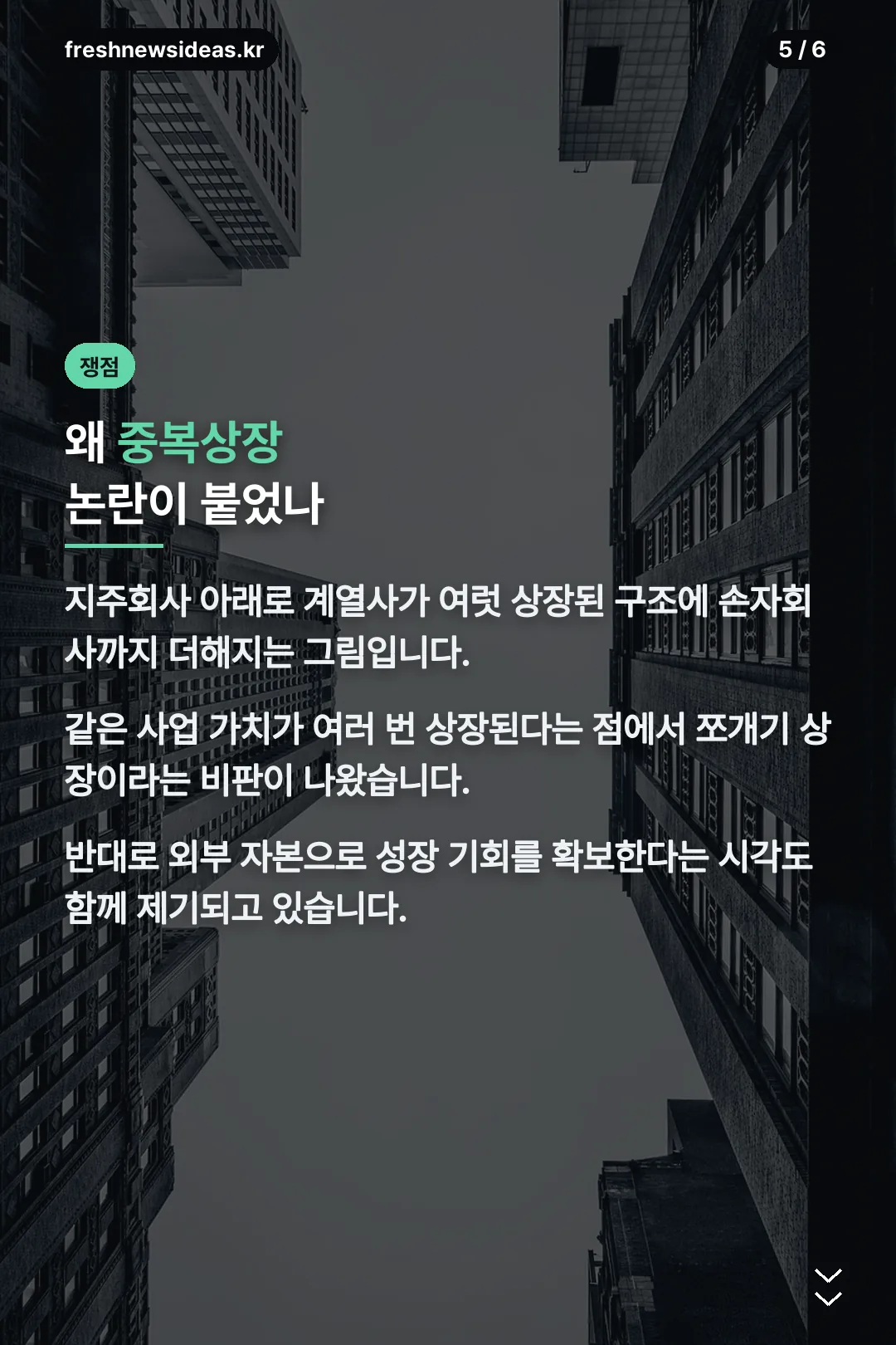 중복상장 논란 배경