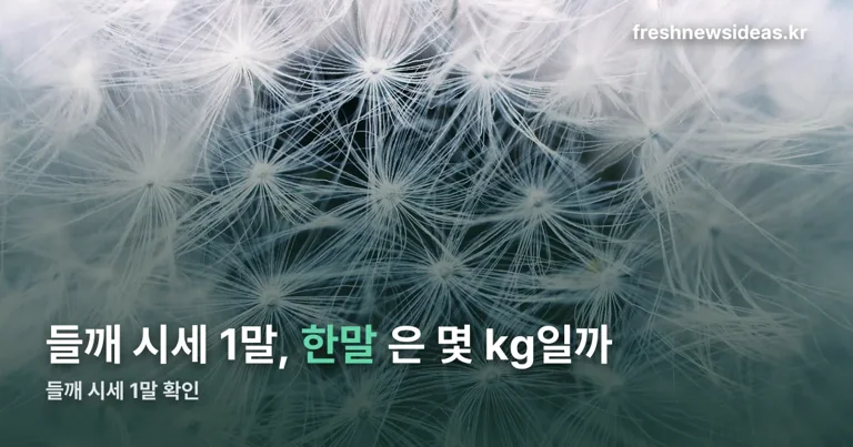 들깨 시세 1말 정리 썸네일