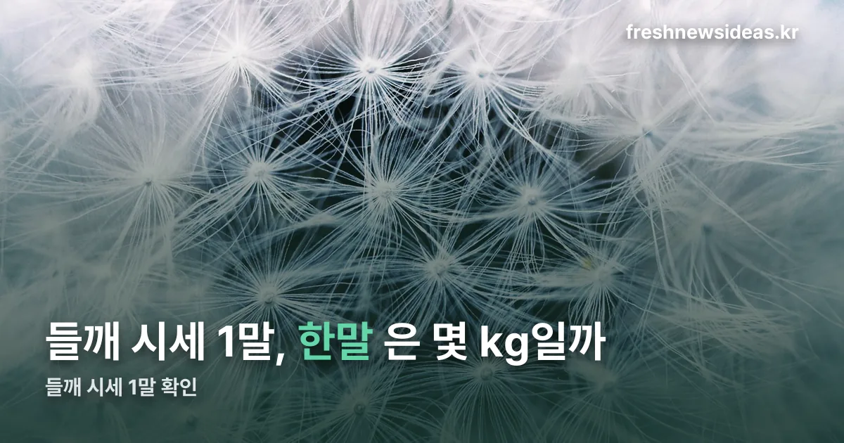 들깨 시세 1말 정리 썸네일